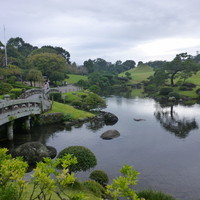DINING KITCHEN 九曜杏 - 熊本の名所《水前寺公園」にも、湧水が戻って来てキレイでした。