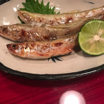 Robata Junsai - 