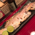 Robata Junsai - 