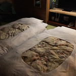 秩父温泉 はなのや - 