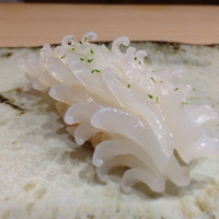 鮨 かず矢 - イカ。丁寧な仕事をされてます。