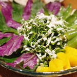 我如古 - 島野菜のサラダ