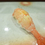 鮨匠 のむら - ナミクダヒゲエビ