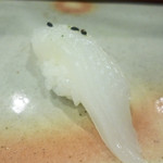 鮨匠 のむら - アオリイカ