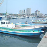 h Sakanaryouri Semmon Toto Ichi - 舞阪漁港から毎日鮮魚が届きます。