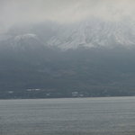 ハイビスカス - 雪を頂く桜島　その２　意外と高い山なんですね
