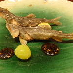 肥後橋 やま本 - 琵琶湖あゆ天ぷら