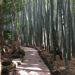 休耕庵 竹の庭の茶席 - 