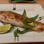 旬菜 すがや - 28年10月訪問