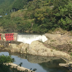 花の木公園 - 