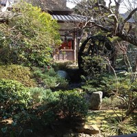 東京 芝 とうふ屋うかい - 