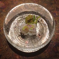 スダチ - 