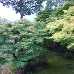 旅舎右馬允 - 二階窓からの風景2