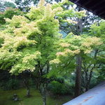 旅舎右馬允 - 二階窓からの風景4