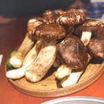 よろにく - 取れたたての松茸