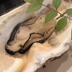 千壽 - 活焼きかき