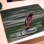 すし貫 - ホタルイカの干物