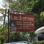 Luckgrove Spice Garden & Resturant - 2016年9月20日。訪問