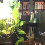 2016.07 水槽の席