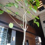 広東料理 センス - ＳＥＮＳＥ