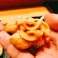 鮨処うえの - ○浜中ウニ様：うわ～今にも零れ落ちそうな大粒ウニ様で味わいが過去最高かも！？って位濃厚過ぎてびっくりした！流石、北海道♪