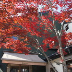 Natural Cafe Iina - 紅葉がきれい