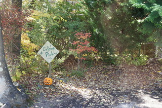 Natural Cafe Iina - 車も止められます★