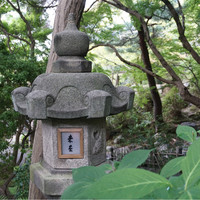 未在 - 