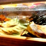 セララバアド - 落ち葉の森 横から