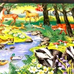 セララバアド - 缶