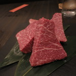 SATOブリアン - シャトーブリアン