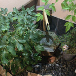 旬彩鈴吉 - 外観