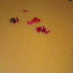 レストラン メルキュール - バターナッツ南瓜のポタージュ
      2016.10.16
      