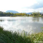 信州のお味噌屋さん - 矢ケ崎公園