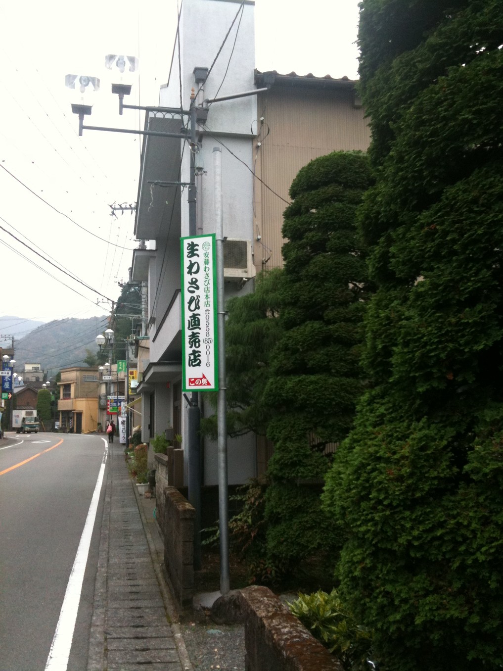丸岩安藤わさび店 本店 name=