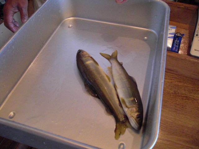 味佐吾寿司 - 上盛岡（寿司）の写真