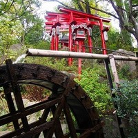 とうふ屋うかい 鷺沼店 - 