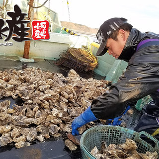 Fresh fish and shellfish sent directly from fishermen