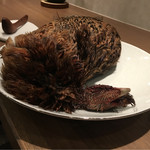 ラチュレ - こっちは幼雉、さらに繊維が細いよ