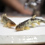 天ぷら 蕎楽亭