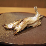 赤坂 詠月 - 北海道むかわ産の本ししゃも