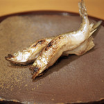 赤坂 詠月 - 北海道むかわ産の本ししゃも