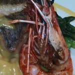 レストラン メルキュール - コロダイと海老のポワレ
      浅利とサフラン風味のソース
      2016.10.17