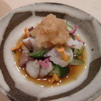 寿司 はせ川 西麻布店 - たこの吸盤の酢の物