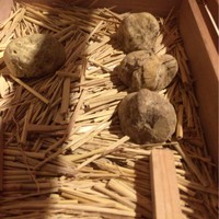マルゴット エ バッチャーレ - 
