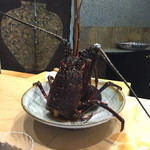 初音鮨 - さくっと絞められた伊勢海老