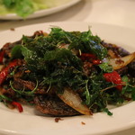 バーン・タム - カイヨーマーガパオ（ピータンのバジル炒め）