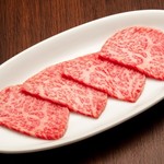 うしごろバンビーナ - 