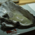 鮨 麻葉 - 昆布盛の牡蠣