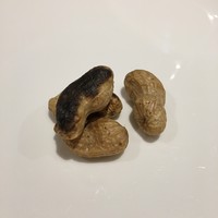 bb9 - 